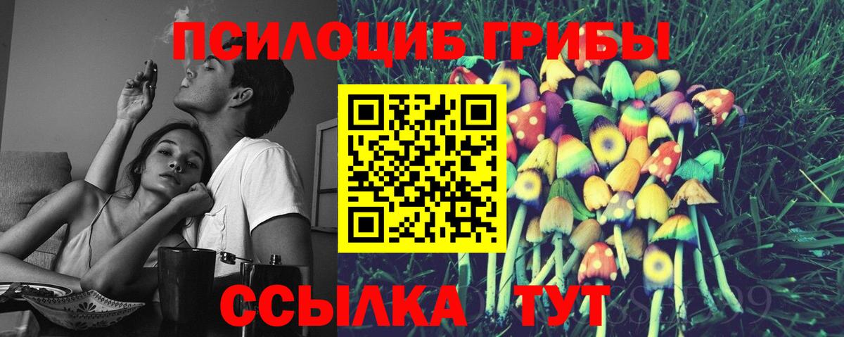 Галлюциногенные грибы мицелий  Галлюциногенные грибы прущие грибы  Вход с VPN  Новочебоксарск 